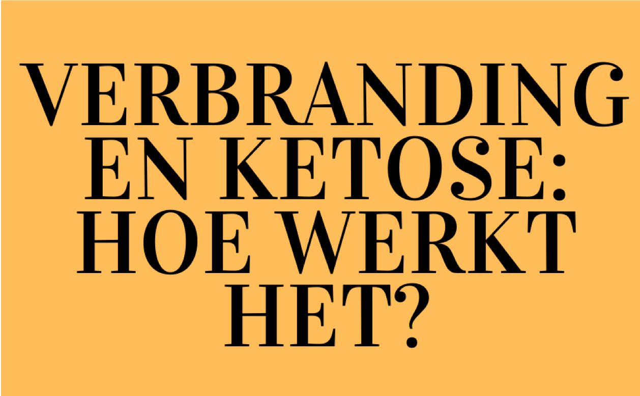 Wat is ketose en wat zijn de voordelen hiervan?